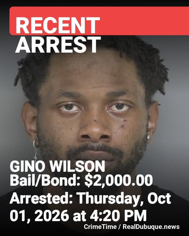 Arrest: GINO WILSON
